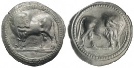 Southern Lucania, Sybaris, c. 550-510 BC. AR Stater (32mm, 8.41g, 12h). Bull standing l. on dotted exergual line, looking back. R/ Incuse bull standin...
