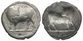 Southern Lucania, Sybaris, c. 550-510 BC. AR Stater (28mm, 7.99g, 12h). Bull standing l. on dotted exergual line, looking back. R/ Incuse bull standin...
