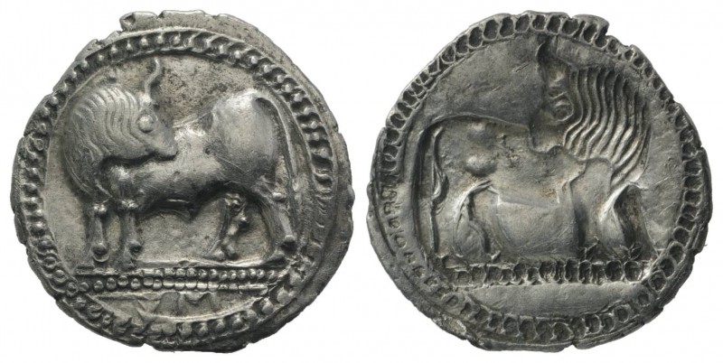 Southern Lucania, Sybaris, c. 550-510 BC. AR Drachm (20mm, 2.64g, 12h). Bull sta...