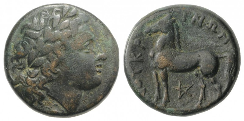 Bruttium, Nuceria, c. 225-200 BC. Æ (21mm, 8.81g, 11h). Laureate head of Apollo ...