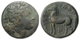 Bruttium, Nuceria, c. 225-200 BC. Æ (21mm, 8.81g, 11h). Laureate head of Apollo r. R/ Horse standing l.; pentagram below. HNItaly 2438; SNG ANS 595–7....