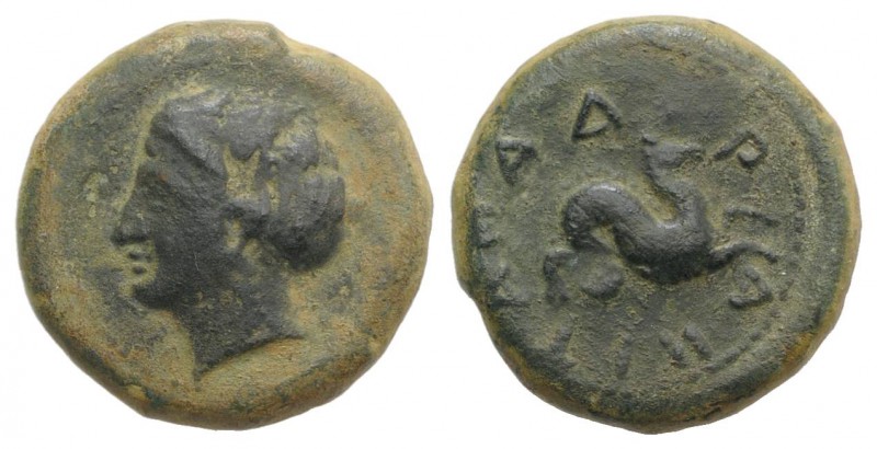 Sicily, Adranon, c. 375-345 BC. Æ (17.5mm, 5.48g, 3h). Female head l., wearing s...