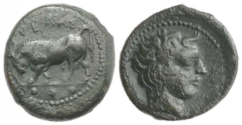 Sicily, Gela, c. 420-405 BC. Æ Tetras (17mm, 4.20g, 9h). Bull standing l., head ...