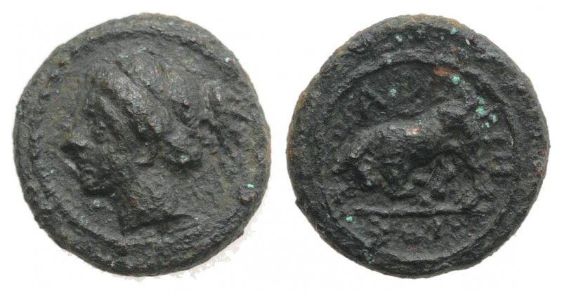 Sicily, Kamarina, c. 339/8-300 BC. Æ (11mm, 1.75g, 11h). Female head l. R/ Bull ...