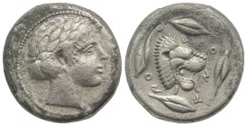Sicily, Leontini, c. 450-440 BC. AR Tetradrachm (25.5mm, 16.70g, 12h). Laureate head of Apollo r. R/ Head of roaring lion r.; four barley grains aroun...