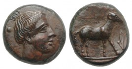 Sicily, Nakona, c. late 5th century BC. Æ (11mm, 2.15g, 3h). Female head r. R/ Ram standing r.; barley-corn to r. CNS I, 6; HGC 2, 963. Rare, tooled a...
