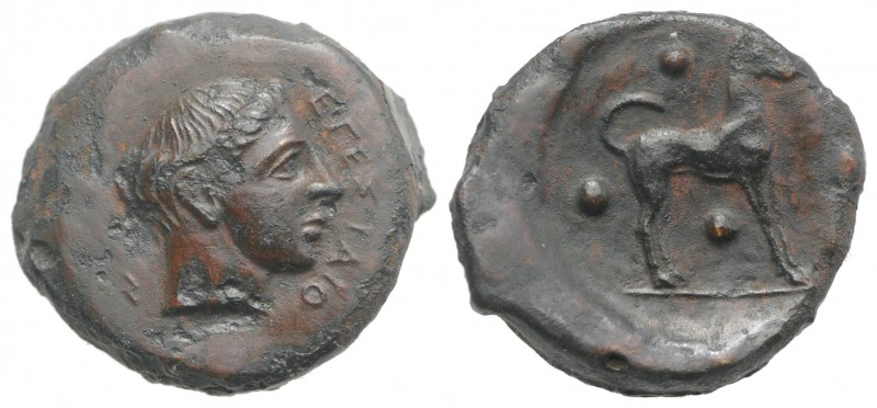 Sicily, Segesta, c. 420 BC. Æ Trias (19mm, 6.86g, 12h). Head of Aigiste r. R/ Ho...