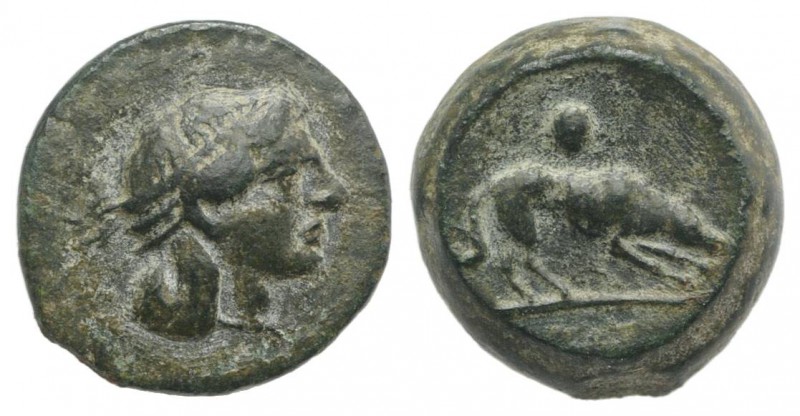 Sicily, Segesta, c. 420-416/5 BC. Æ Onkia (11mm, 1.82g, 12h). Head of Aigiste r....