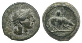 Sicily, Segesta, c. 420-416/5 BC. Æ Onkia (11mm, 1.82g, 12h). Head of Aigiste r., wearing sphendone. R/ Hound scenting r.; pellet above. CNS I, 5; HGC...