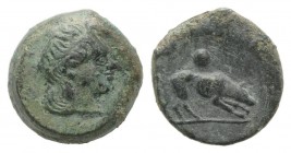 Sicily, Segesta, c. 420-416/5 BC. Æ Onkia (11mm, 2.22g, 12h). Head of Aigiste r., wearing sphendone. R/ Hound scenting r.; pellet above. CNS I, 5; HGC...