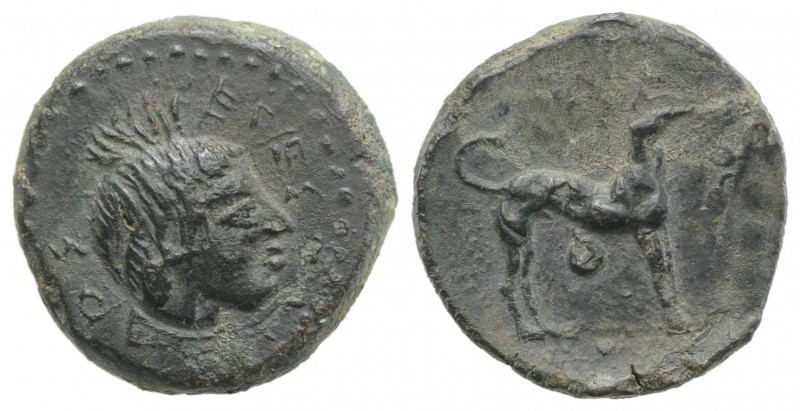 Sicily, Segesta, c. 416-410 BC. Æ Onkia (15mm, 3.90g, 5h). Male head r. R/ Hound...