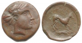 Sicily, Segesta, c. 400-390 BC. Æ Hexas (19mm, 5.36g, 11h). Head of Aigiste r., wearing sphendone. R/ Hound standing r.; two pellets, weasel in exergu...