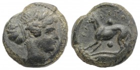 Sicily, Segesta, c. 400-390 BC. Æ Hexas (16mm, 5.47g, 3h). Head of Aigiste r., wearing sphendone. R/ Hound standing l.; weasel in exergue. CNS I, 42; ...
