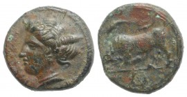 Sicily, Syracuse. Agathokles (317-289 BC). Æ (15mm, 3.52g, 9h), c. 317-310. Head of Arethusa l. R/ Bull butting l.; wreath in exergue. CNS II, 100 Ds ...