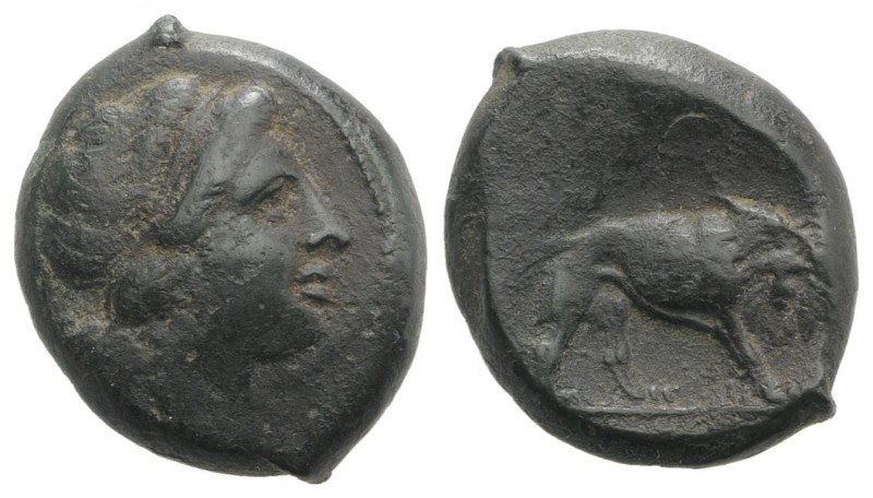 Anonymous, Southern Italy, c. 260 BC. Æ (22mm, 9.29g, 7h). Female head r., with ...