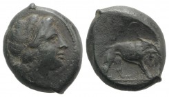 Anonymous, Southern Italy, c. 260 BC. Æ (22mm, 9.29g, 7h). Female head r., with ribbon in hair. R/ Lion r.; [ROMANO] in exergue. Crawford 16/1a; HNIta...