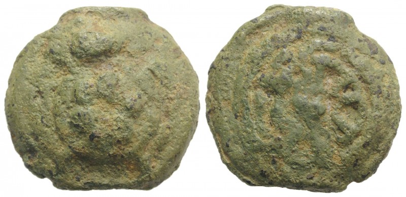 Anonymous, Rome, c. 230 BC. Cast Æ Sextans (32mm, 41.33g). Tortoise on a raised ...