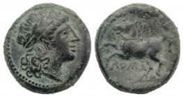 Anonymous, Rome, c. 235 BC. Æ (15mm, 3.39g, 6h). Laureate head of Apollo r. R/ Bridled horse prancing l. Crawford 26/3; RBW 50; HNItaly 308. Green pat...