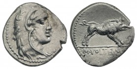 M. Volteius M.f., Rome, 75 BC. AR Denarius (18mm, 3.59g, 6h). Head of young Hercules r., wearing lion-skin headdress. R/ Erymanthian Boar running r. C...