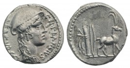 Cn. Plancius, Rome, 55 BC. AR Denarius (16mm, 3.92g, 1h). Female head (Diana Planciana?) r., wearing causia. R/ Cretan goat standing r.; bow and quive...