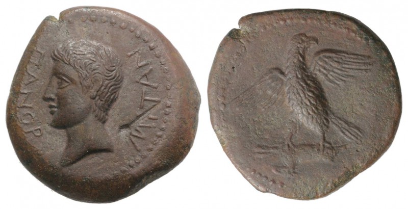 Augustus (27 BC-AD 14). Sicily, Panormus. Æ (24mm, 8.48g, 2h). Bare head of Augu...