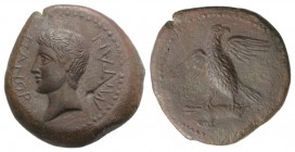 Augustus (27 BC-AD 14). Sicily, Panormus. Æ (24mm, 8.48g, 2h). Bare head of Augustus l. R/ Eagle standing facing, head r., with open wings. RPC I 640;...