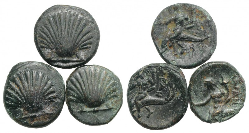 Southern Apulia, Tarentum, lot of 3 Æ coins (Shell / Phalantos on dolphin). Lot ...