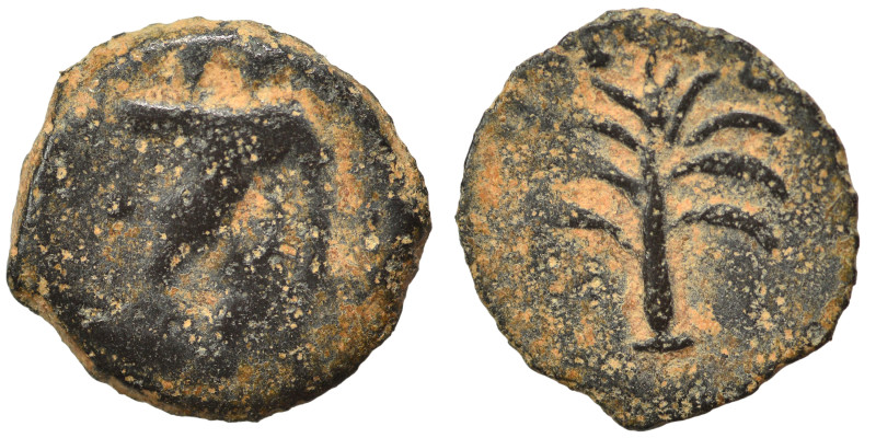 Greek. Ae (bronze, 1.20 g, 12 mm). Palm. Fine.