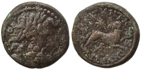 SYRIA, Seleukis and Pieria. Antioch. Pseudo-autonomous issue, time of Augustus, 27 BC-14 AD. Ae (bronze, 8.58 g, 19 mm), 5/6–11/12 AD. Laureate head o...