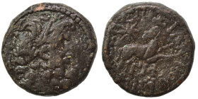 SYRIA, Seleukis and Pieria. Antioch. Pseudo-autonomous issue, time of Augustus, 27 BC-14 AD. Ae (bronze, 7.79 g, 19 mm), 12/13 AD. Laureate head of Ze...