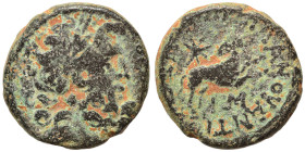 SYRIA, Seleucis and Pieria. Antioch. Pseudo-autonomous issue, time of Augustus, 27 BC-14 AD. Ae (bronze, 7.31 g, 19 mm), 13/14 AD. Laureate head of Ze...