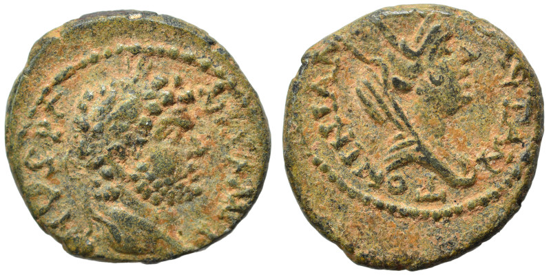 MESOPOTAMIA. Edessa. Caracalla, 198-217. Ae (bronze, 2.67 g, 15 mm). Laureate he...