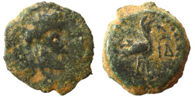 EGYPT. Alexandria. Hadrian (?), 117-138. Chalkous (bronze, 0.86 g, 10 mm), Laureate head to right. Rev. Ibis standing right; date [L]-IΔ (?). Good fin...
