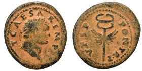 Titus, as Caesar, 69-79. Quadrans (orichalcum, 3.29 g, 18 mm), Rome mint, for Syria. T CAESAR IMP Laureate head of Titus to right. Rev. P•M•TR POT•P•P...