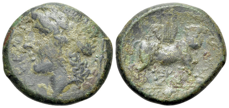 Italy, Campania, Cales, c. 265-240 BC. Æ (20mm, 5.79g, 6h). Laureate head of Apo...