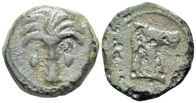 Sicily, Carthaginian Domain, c. 4th-3rd century BC. Æ (19mm, 8.01g, 3h). Palm tr...