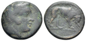 Kings of Macedon. Perdikkas III (365-359 BC). Æ (16mm, 3.85g, 12h). Aigai. Head of Herakles to right, wearing lion skin headdress. R/ Lion standing to...