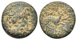 Seleukis and Pieria. Antioch. Pseudo-autonomous issue. Time of Augustus (27 BC-AD 14). Æ (19,3mm, 6.9g). Laureate head of Zeus r. R/ Ram running right...