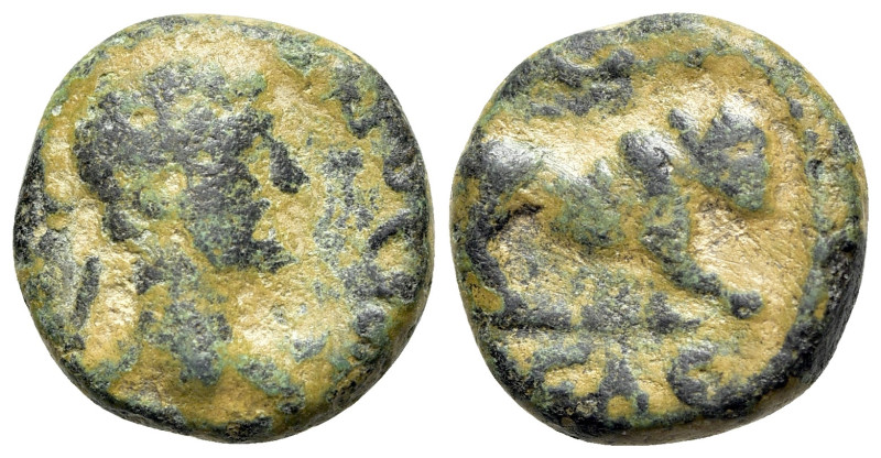 Hadrian (117-138). Judaea, Caesarea Maritima. Æ (12mm, 1.66g, 6h). Laureate head...