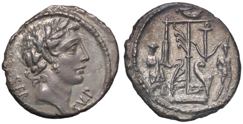 ROMANE REPUBBLICANE - SULPICIA - Servius Sulpicius (51 a.C.) - Denario B. 8; Cr....