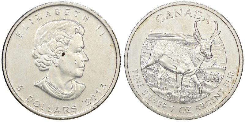 ESTERE - CANADA - Elisabetta II (1952-2022) - 5 Dollari 2013 - Antilope AG

St...