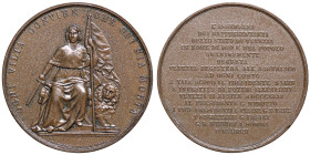 MEDAGLIE - CITTA' - Venezia  - Medaglia 1849 - Resistenza all'Austria   AE  Opus: Fabris Ø 50 Colpo ripreso