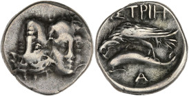 Thrace, Istros - Drachme 

Argent - 6,03 grs - 19 mm
HGCS.3.2-1804
TB+