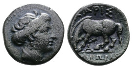 Thessaly. Larissa circa 380-337 BC. AE (13mm, 1,95 g.) .Head of nymph Larissa right. Rev. ΛAPIΣ / AIΩN (in ex.) , horse grazing to left. BCD 382.1. Go...