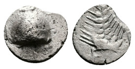 Boiotia, Orchomenos. Late 5th century-364 BC. AR Hemiobol (8,2mm,0.30 g.). Half wheat grain, sprouting end upward. Rev. Wheat ear upward, stem curving...