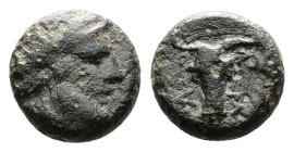 Troas, Lamponeia. 4th century BC. Æ (7mm, 0,59 g.). Head of Dionysos right, wearing ivy wreath. Rev. A-M Facing bull's head. SNG Copenhagen 445 var. R...