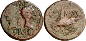 (después 16/15 a.C.). Agripa y Augusto. Galia. Nemausus. Dupondio. (Spink 1729) (Co. 7) (RIC. 155). Contramarca DD en círculo de puntos, en anverso. 1...