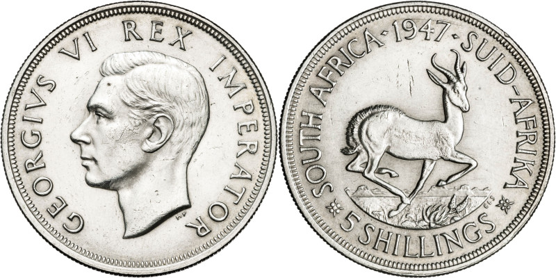 Sudáfrica. 1947. Jorge VI. 5 chelines. (KM. 31). AG. 28,25 g. EBC+.