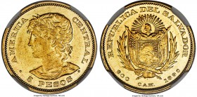Republic gold 5 Pesos 1892-C.A.M. AU58 NGC, San Salvador mint, KM117. From a mintage of just 558. This type is always extremely popular for its being ...