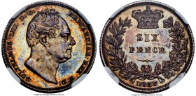 William IV Proof 6 Pence 1837 PR64 NGC, KM712, S-3836. With superb eye appeal and near-gem technical grade, this stunning survivor from William IV's c...